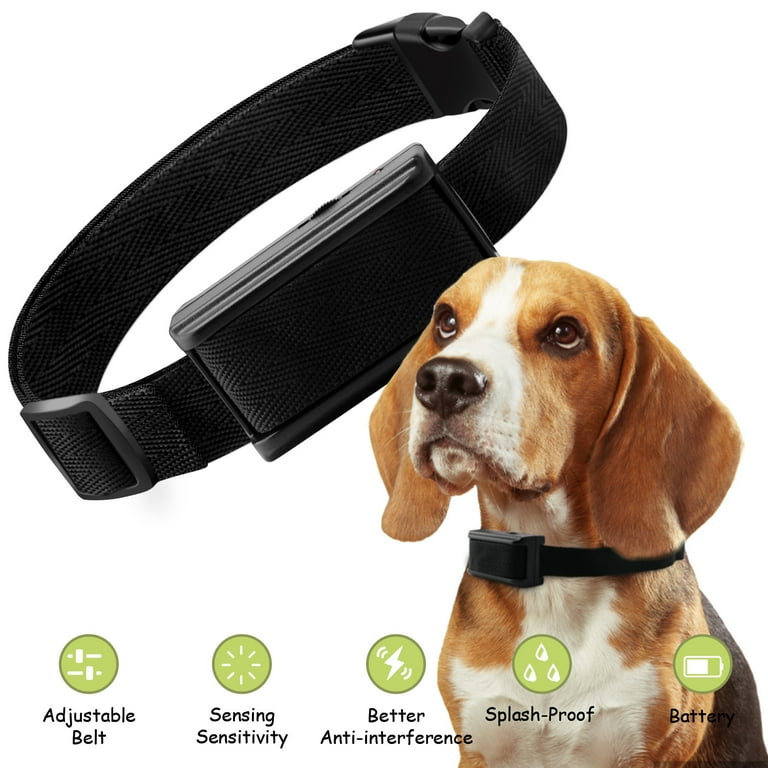Top AntiBark Collars For Large Breeds Learn About Nature, 43 OFF