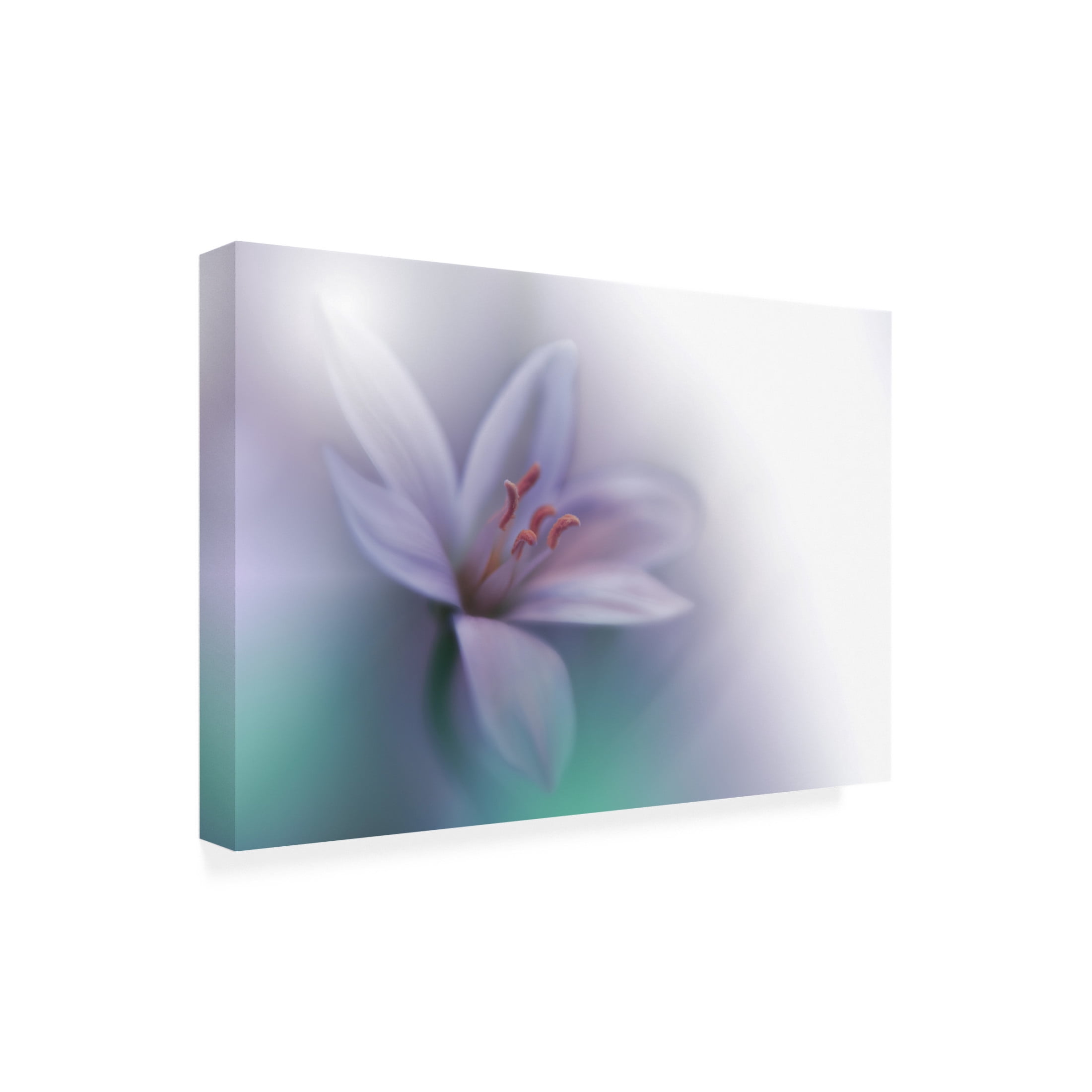 Canvas Wall Art - Juliana Nan 'Beyond ' Wall Art for Living Room, Bedroom, or Office D?cor by Trademark Fine Art - 24 x 16 Inches