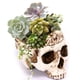thumbnail image 3 of Resina hecho a mano cráneo decoración flor maceta réplica esqueleto estatuilla colección ampliamente utilizado decoración de halloween espécimen regalo único Inevent HA011444-00B, 3 of 7
