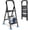Black-handrail, variant on JaxShark 3-Step Folding Ladder with Tool Tray 500 lbs Steel Step Stool Non-Slip Pedal,Black