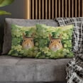 thumbnail image 4 of Happy Squirrel Welcome St Patrick's Day Lucky Shamrocks Clover Pillowcase Double Sided Pet Small Animal Lover Pillow Case Covers - 22001, 4 of 5