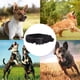 thumbnail image 5 of Collar de perro premium: forro de neopreno, collar de perro reflectante. MFZFUKR CPB-US-YY586-2, 5 of 5