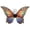 A, variant on HHJZPR 33.1in Halloween Fairy Butterfly Wings Costume, Large Print Fabric Elf Wing Accessory for Cosplay Party Dress Up