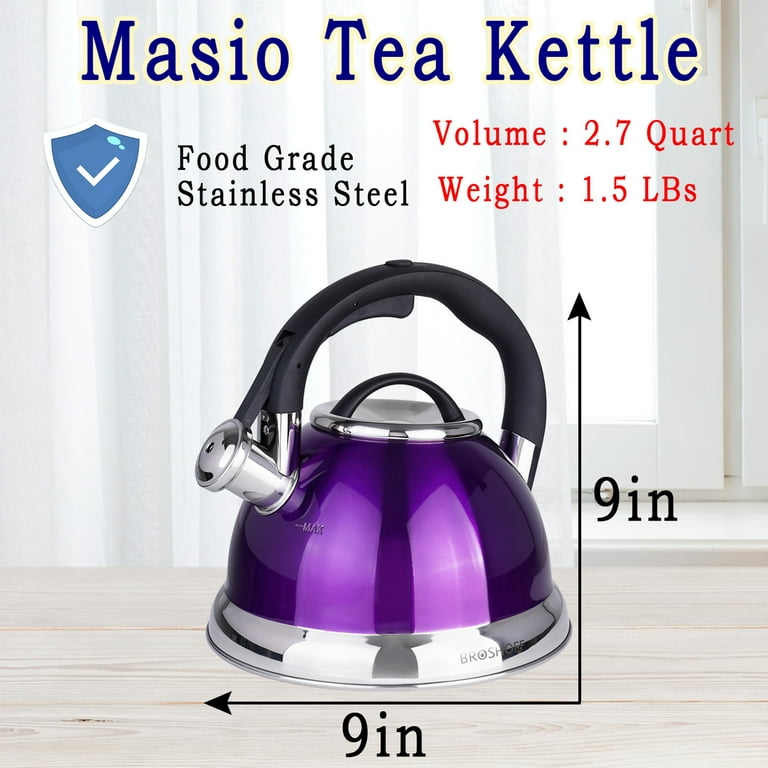 Tea Kettle Stovetop - 2.64QT Whistling Tea Pots for Stove Top - Sleek  Teapots with Universal Base, Mirror Stainless Steel Teakettle with Cool  Grip Bakelite Handle 