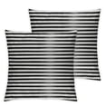 thumbnail image 2 of Acheng  Set of 2 Throw Pillow Cover Colorful Garden Black and White Stripes Modern Decorative Pillow Case Home Decor Square  Pillowcase White, 2 of 6
