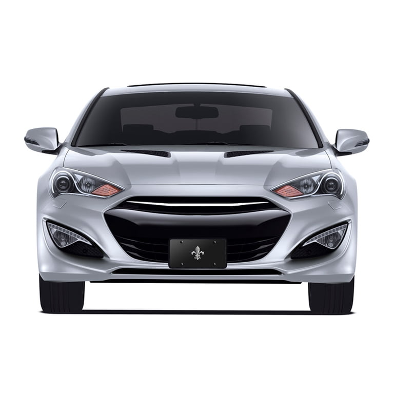 IPick 3D Black Stainless Steel Fleur-de-Lis License Plate - Rustproof & Made In USA