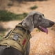 thumbnail image 5 of Arnés táctico para perros sin tensión, arnés militar reflectante para perros con asas, chaleco para perros de servicio para entrenamiento MFZFUKR CPB-US-ZMR09-6, 5 of 5