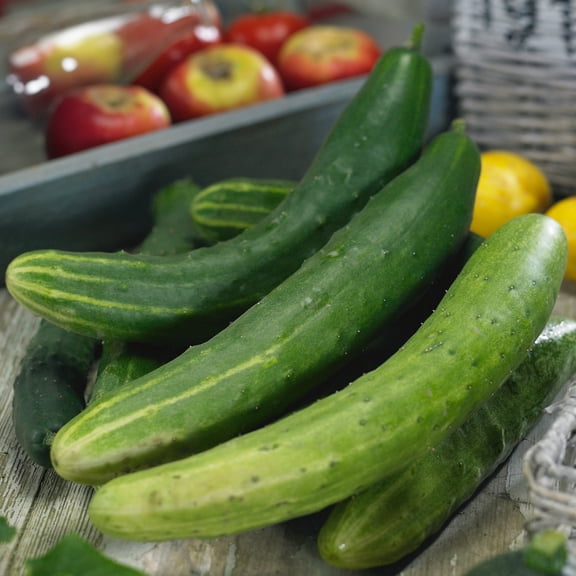 Organic Garden Sweet Burpless F1 Hybrid Cucumber Seeds - 3 g Packet ~100 Seeds - Non-GMO, Certified Organic, F1 Hybrid - Vegetable Garden - Cucumis sativus