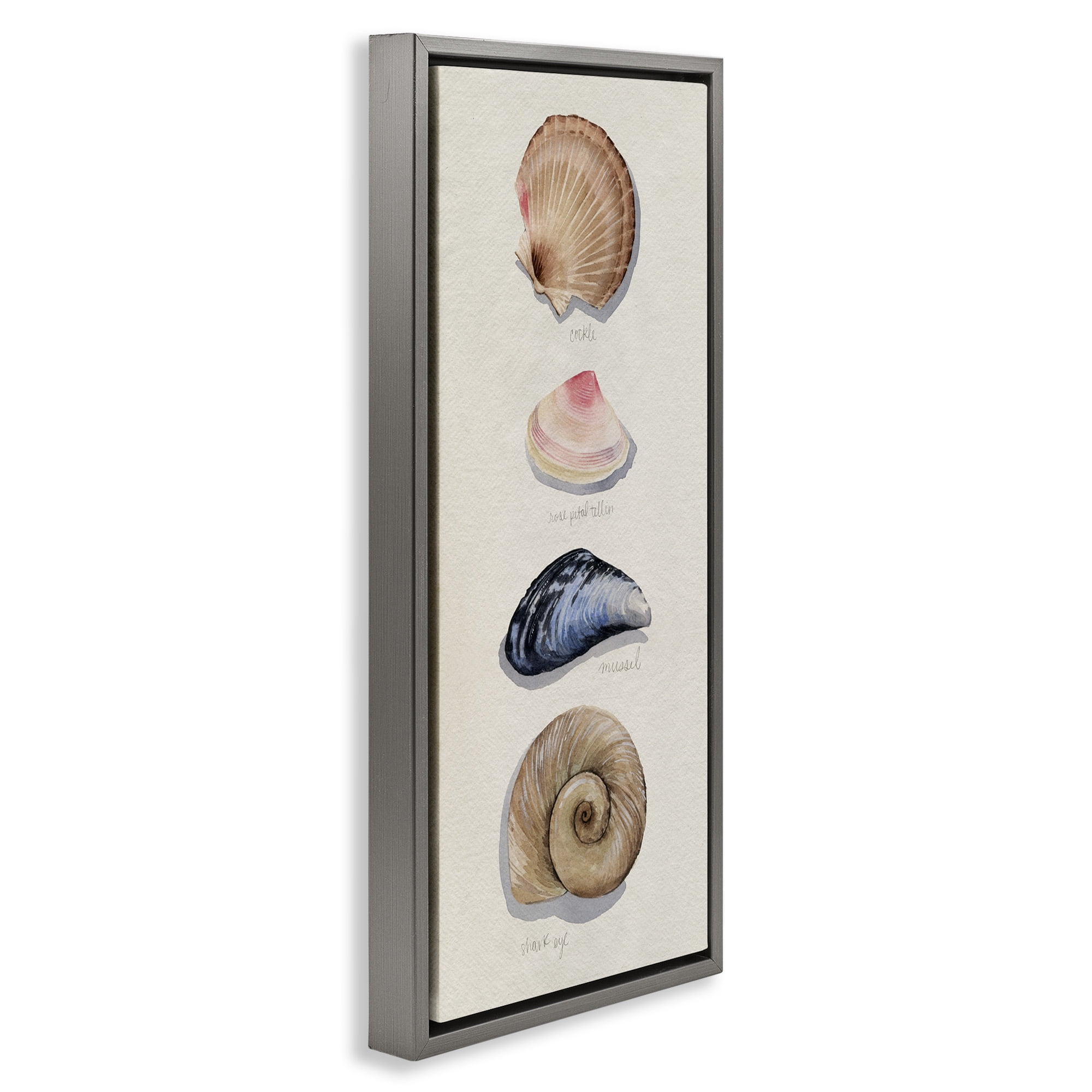 Stupell Industries Traditional Nautical Sea Shells Nature Painting Gray Floater Framed Canvas Art Print Wall Art, 15 x 31