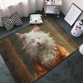 thumbnail image 3 of Shaggy Area Rug, Haystack Meditating Cat Rugs for Living Room Bedroom Non Slip Door Mat Indoor Carpet Machine Washable Nursery Home Decor Floor Mats for Entryway 60x39in, 3 of 5