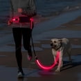 thumbnail image 2 of Vizbrite Laisse pour Chien Mains Libres à LED, Laisse de Taille pour Promenade, Laisse Lumineuse Rétractable, Laisse Réfléchissante pour Course Jogging, Entraînement, Randonnée, 2 of 7