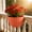 Red #6, variant on Rattan Textured Wall Mounted Flower Pot | Semi-Circular Plastic with Drainage Holes | Home & Garden Decor | Multiple Colors