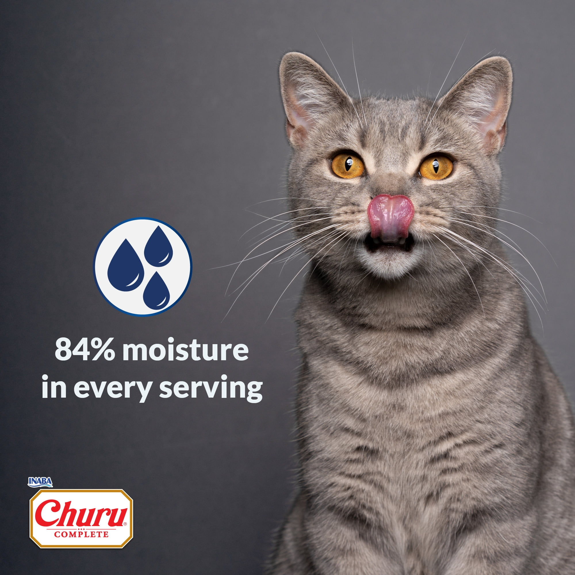 INABA Churu Complete Pate Wet Cat Food with Fish Oil, 1.23oz. per Serving, 2 Servings, Tuna Recipe