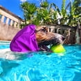 thumbnail image 2 of Mightlink Waterproof Pet Bath Cap,Adjustable Buckle Dog Ear Protection Shower Hat Dog Ear Covers for Bathing And Rain Showers, 2 of 5
