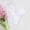 White, variant on Siminsem High Cut Lace Thong for Women Low Rise Seamless T-Back Panties Sheer Floral Underwear No Show Hollow Out Breathable Cotton Crotch Multipack S-XXL, Light Blue,M