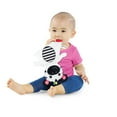 thumbnail image 3 of Baby Einstein Zen the Zebra Sensory Plush Teether, 3 of 7
