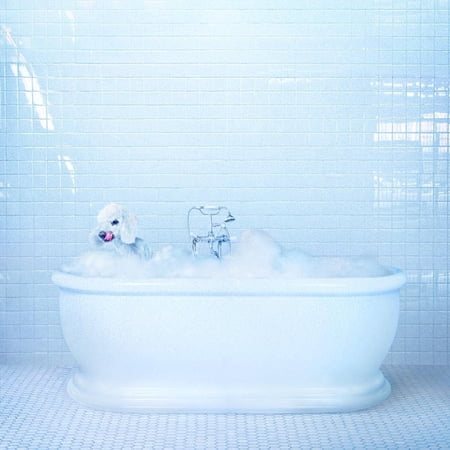 Vessel (Loser Edition) (LP)