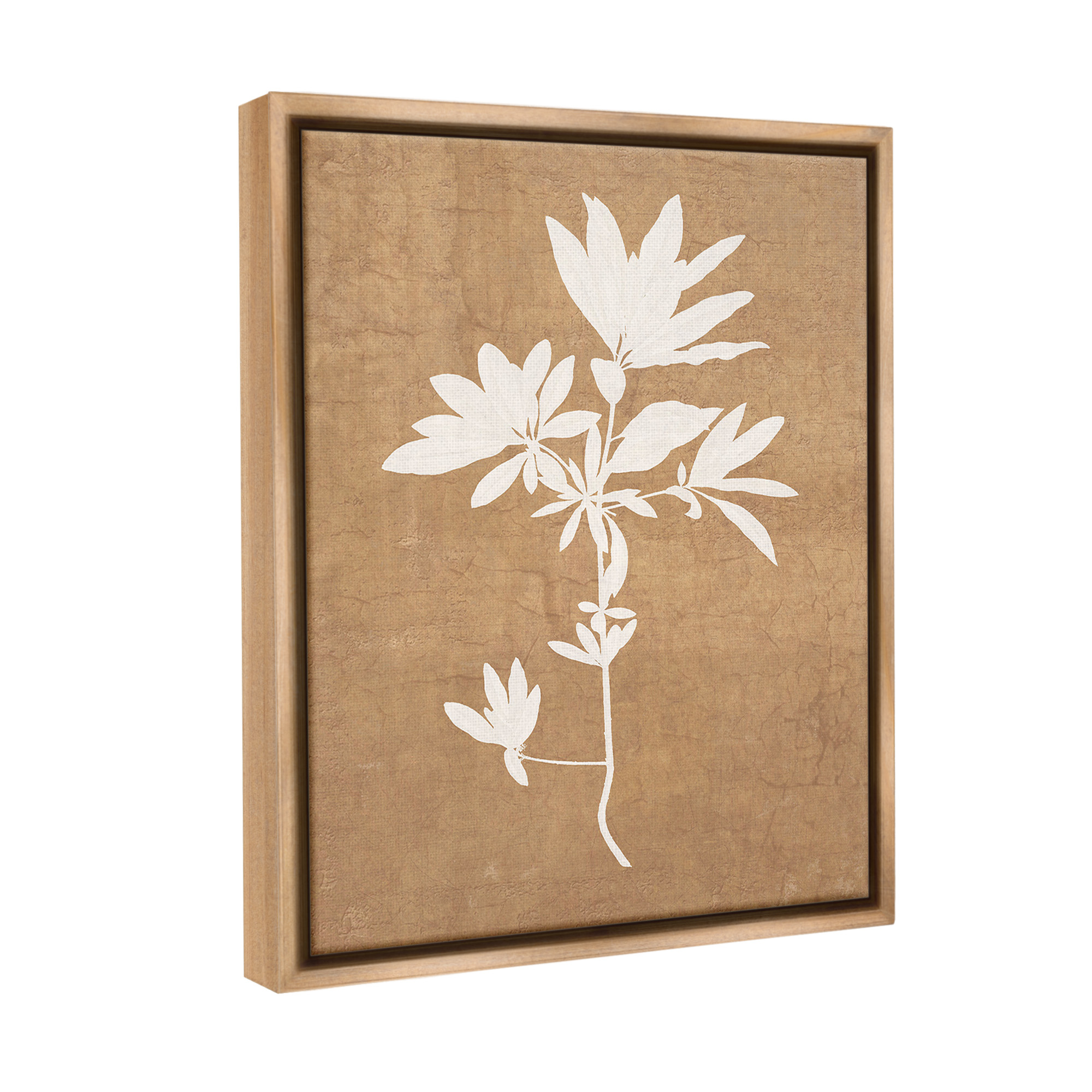 Stupell Industries Rustic Botanical Shape Botanical & Floral Painting Brown Floater Framed Canvas Art Print Wall Art, 17 x 21