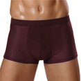 thumbnail image 1 of Bóxer de seda de hielo para hombre, ropa interior de malla, transpirable, deportiva, talla grande, 2023, 1 of 4