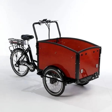 Dutch Electric Cargo Tricycle Bike – Family Bike, 500W Motor, Pedal Assist, 20 MPH, Large Basket, Adjustable Seat