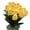 White, variant on AOOOWER Set Of 15 Artificial Tulips Flower Lights Romance Glowing For Bedroom Party Decors