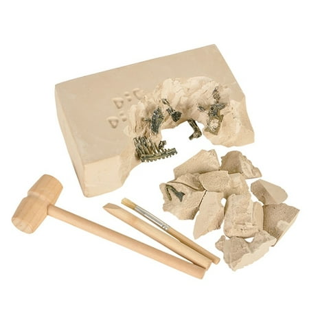 DINOSAUR DELUXE FOSSIL EXCAVATION KIT, Case of 12