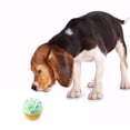 thumbnail image 4 of Pet Toy Interactive Artificial Food Dog Bite Toy Pet Teether Dog Squeaky Toy, 4 of 5