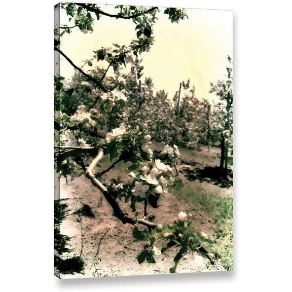 ArtWall Kevin Calkins "Apple Blossoms" Gallery-Wrapped Canvas