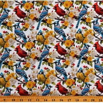 Cotton Blue Jays Bluejays Animals 2024 Birds Blue Jay White Cotton Fabric Print by the Yard (133911)