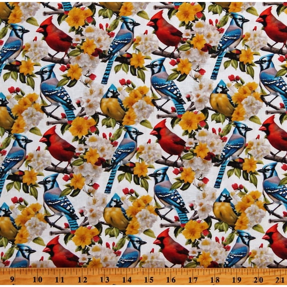 Cotton Blue Jays Bluejays Animals 2024 Birds Blue Jay White Cotton Fabric Print by the Yard (133911)