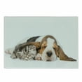 thumbnail image 1 of Basset Hound Cutting Board, Photo of Baby Puppy and Kitten Sleeping Together, Decorative Tempered Glass Cutting and Serving Board, in 3 Sizes, by Ambesonne, 1 of 2