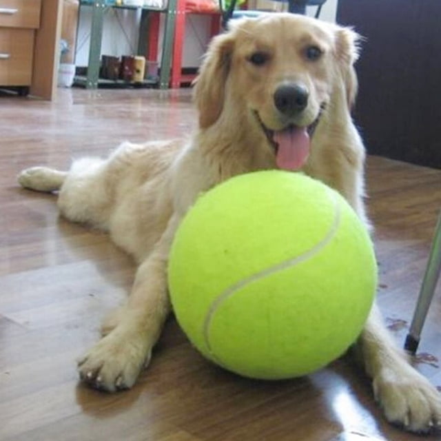 Pelota de tenis gigante de 24 cm, juguete masticable para mascotas, pelota de tenis inflable, juguete exclusivo para mascotas