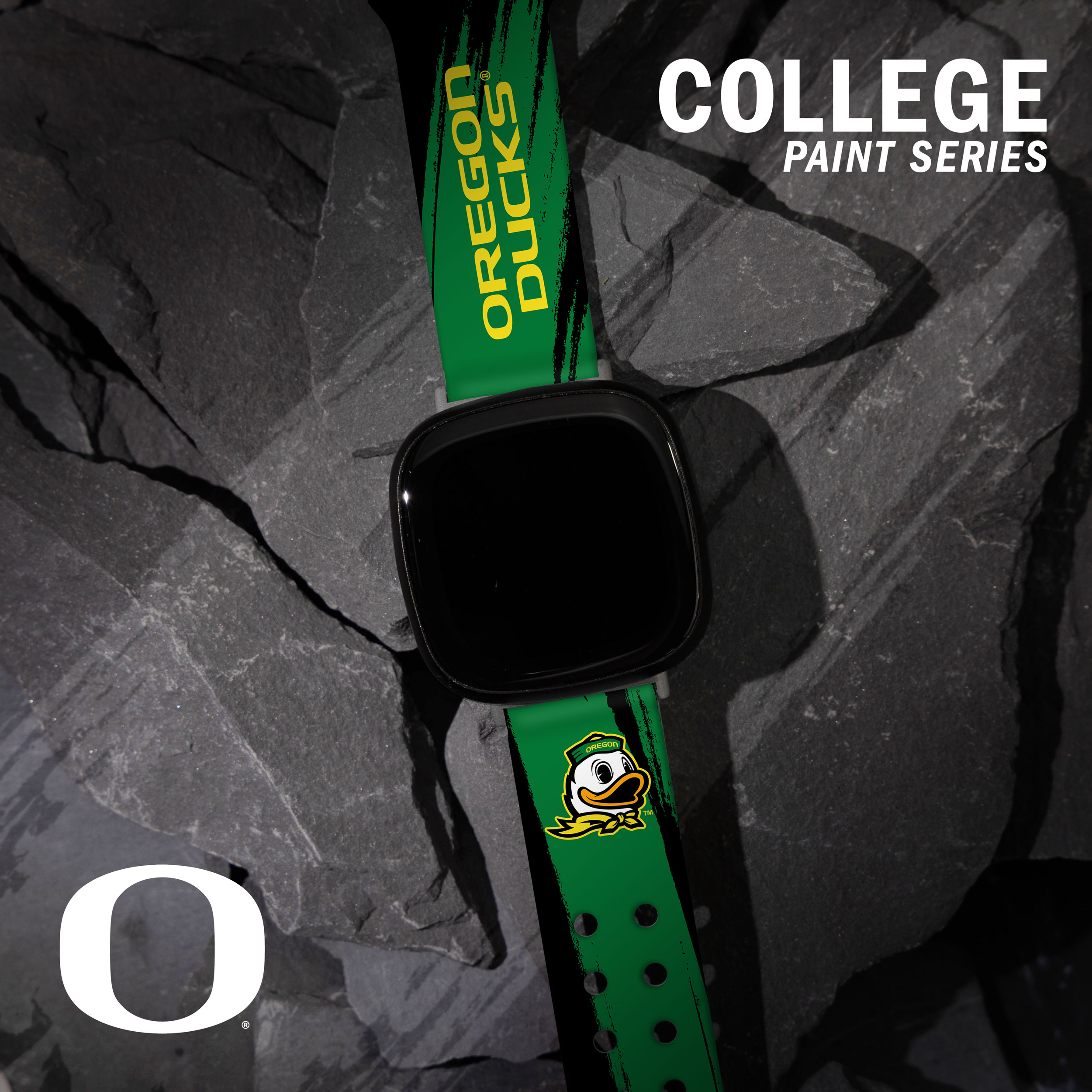 Ducks HD Paint Stripe Unisex Watch Band for FitBit Versa 3 & Sense (Short)