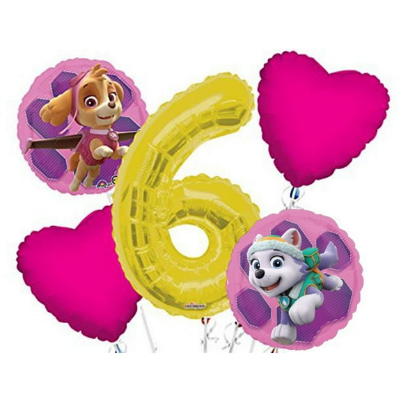 Paw Patrol Girl Balloon Bouquet 6th Birthday 5 pcs - Party Supplies