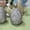 Gray561, variant on MORESEC Home European Style Resin Floral Pattern Egg Sculpture, Hand Painted Easter Ornament for Desktop Party Window Gift Decor