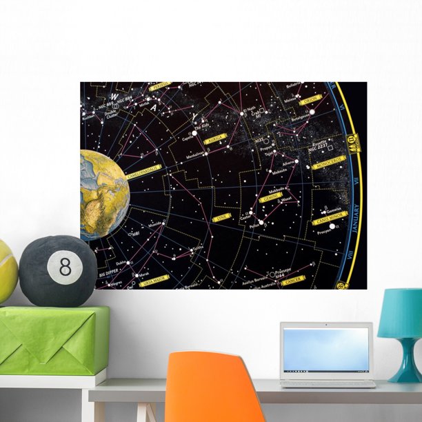 Constellation Star Map Wall Mural by Wallmonkeys Peel and Stick Graphic