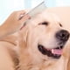 thumbnail image 3 of Paquete de 2 peines para perros con extremos redondeados, dientes de acero inoxidable, peine para gatos para eliminar enredos y nudos, 6,3 pulgadas/7,4 pulgadas, 3 of 5