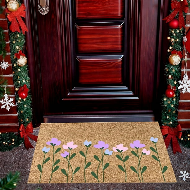 Felpudo de Entrada, Alfombra Antideslizante para Interiores, Tapete Absorbente con Fibras de Poliéster, 40 x 60 cm para Pasillo, Cocina, Sala de Estar