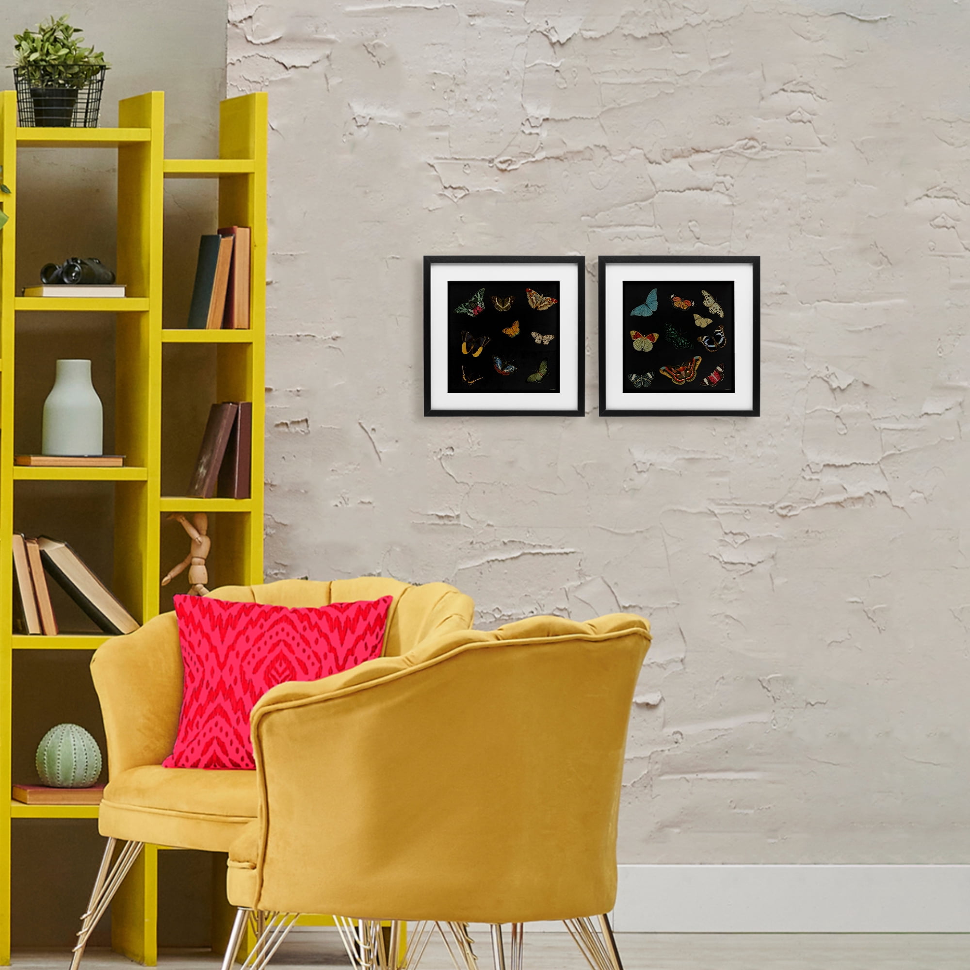 Stupell Industries Entomology Collection on Black 2 Piece Black Framed Print Under Glass Set, design by Dan Meneely