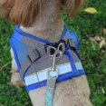 thumbnail image 5 of Cat Harness, Cat Harness Escape Proof, 5 of 5