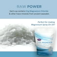 thumbnail image 3 of Life-Flo Pure Magnesium Flakes, 1.65 lb, 3 of 6