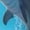 2 Black-1, variant on Rateoe Astronaut Tropical Dolphin for Women Casual Calf Socks - Cute Crew Socks - Thin Soft Above Ankle Socks Size 5-11