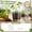 Clear Plastic Plant Pots C, variant on Clear Plastic Plant Pots with Drainage Holes and Saucers, Transparent Nursery Seed Starting Pots with Drainage Trays for Indoor Outdoor Gardening, Succulent and Herb Growing 7 Inch
