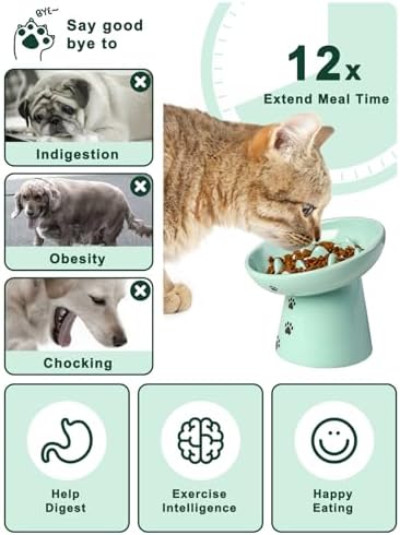 Slow Feeder Cat Bowl, Ceramic Cat Slow Feeder Bowl, 6 Inches, Elevated, Anti Vomiting for Dry and Wet Food, Green