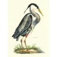 thumbnail image 2 of Selby, John 11x14 Gold Ornate Wood Framed with Double Matting Museum Art Print Titled - Great Blue Heron, 2 of 4
