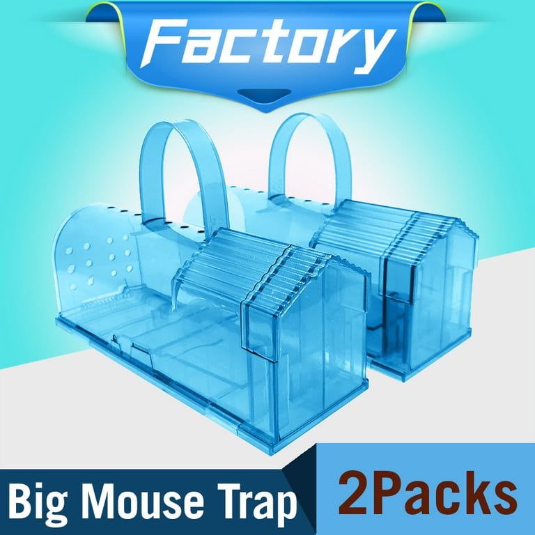2 Pack Enlarged Humane Mouse Traps No Kill Rat Trap with Handle, Reusable  Catch and Release Chipmunk Trap, Pet and Children Friendly Mice Trap That  Work (8 inches) 