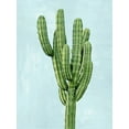 thumbnail image 2 of Jensen, Mia 19x24 White Modern Wood Framed Museum Art Print Titled - Cactus on Blue I, 2 of 4