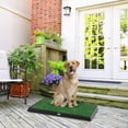 thumbnail image 5 of Artificial Grass Puppy Pad for Dogs and Small Pets ? Reusable Potty Training Pad with Tray ? Dog Housebreaking Supplies by PETMAKER (20 x 25), 5 of 6