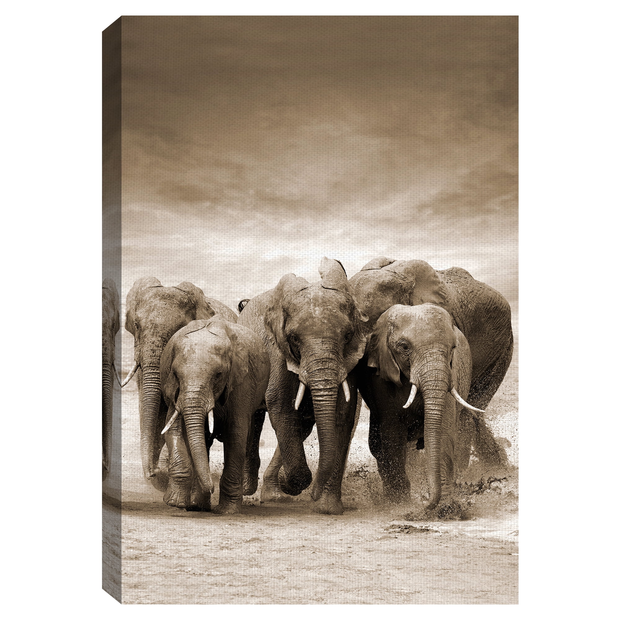 Masterpiece Art Gallery Sepia Herd Elephants By Belle Maison Canvas Art Print 24" x 36"