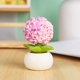 thumbnail image 5 of Cactus Simulation Potted Plants Resin Crafts Gifts Small Fresh Home Furnishings Car Ornaments, 5 of 6